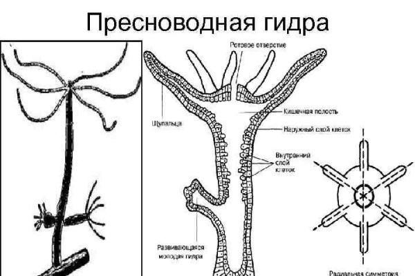 Кракен маркет плейс