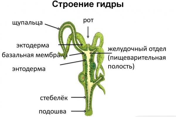 Кракен сайт наркота