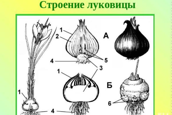 Сайт кракена в торе