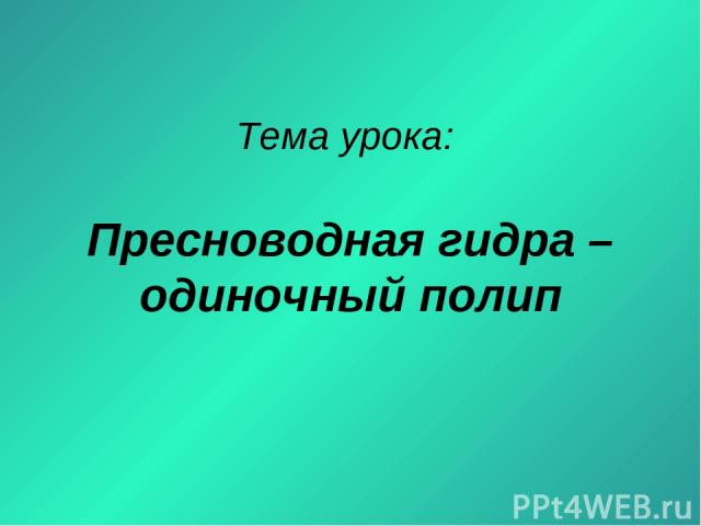 Список даркнет сайтов