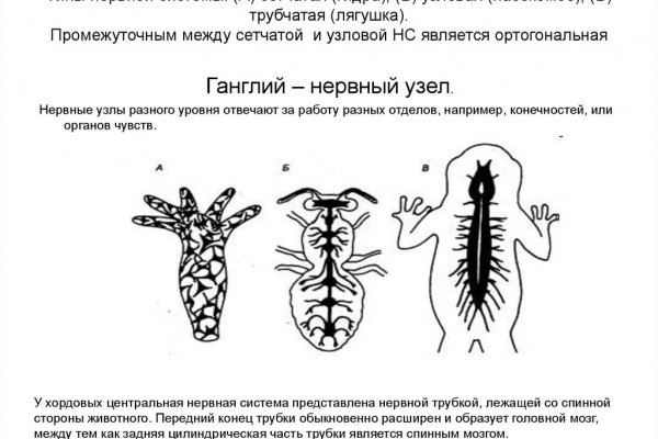 Кракен маркетплейс реклама текст